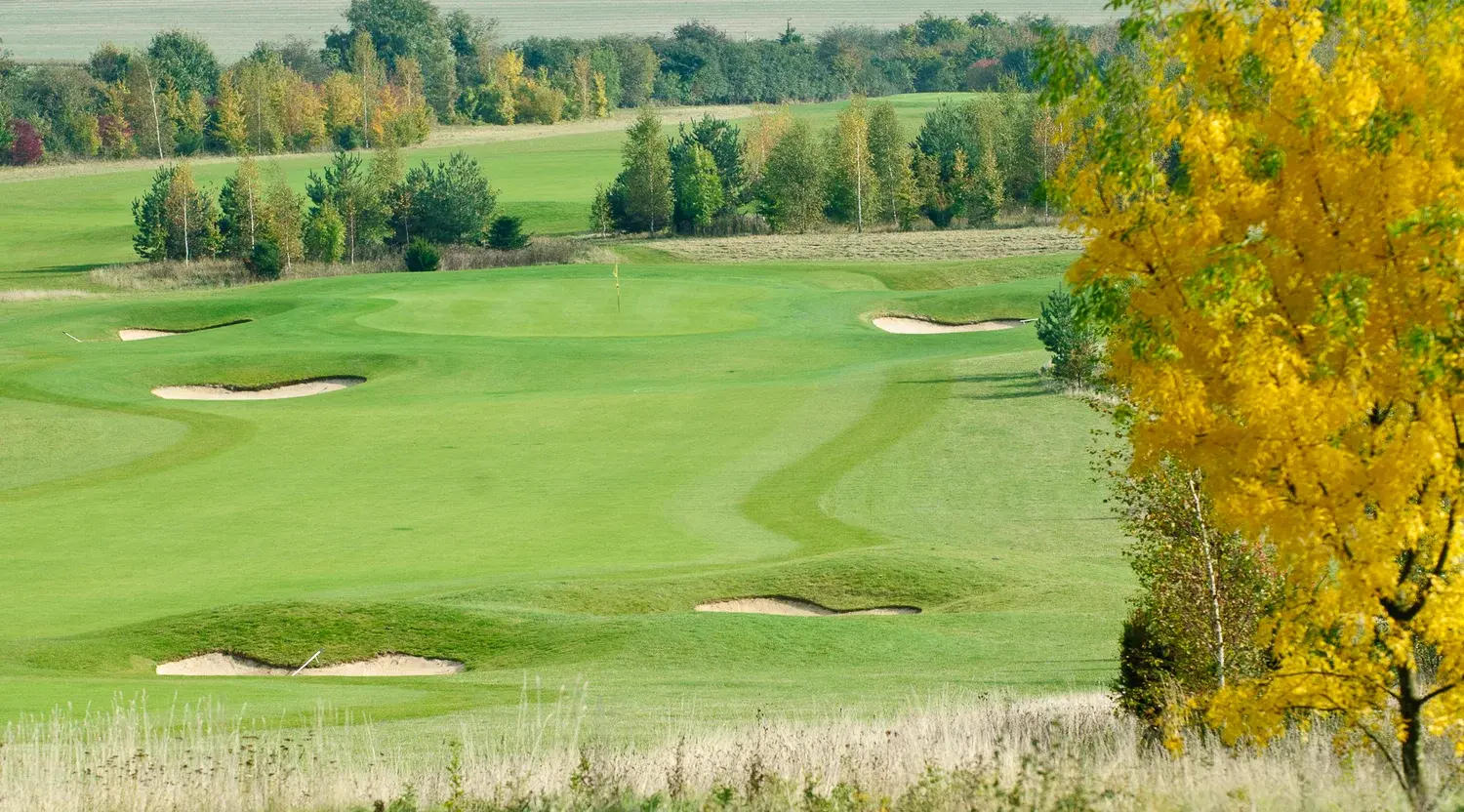 A flagged green ringed by bunkers at Gog Magog Golf Club in Cambridgeshire, a golden birch beside it